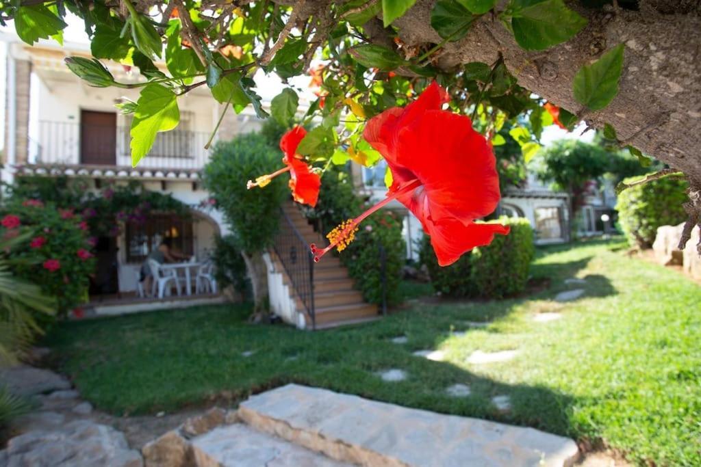 Casa En Denia Con Piscina Y Jardin Daire Dış mekan fotoğraf