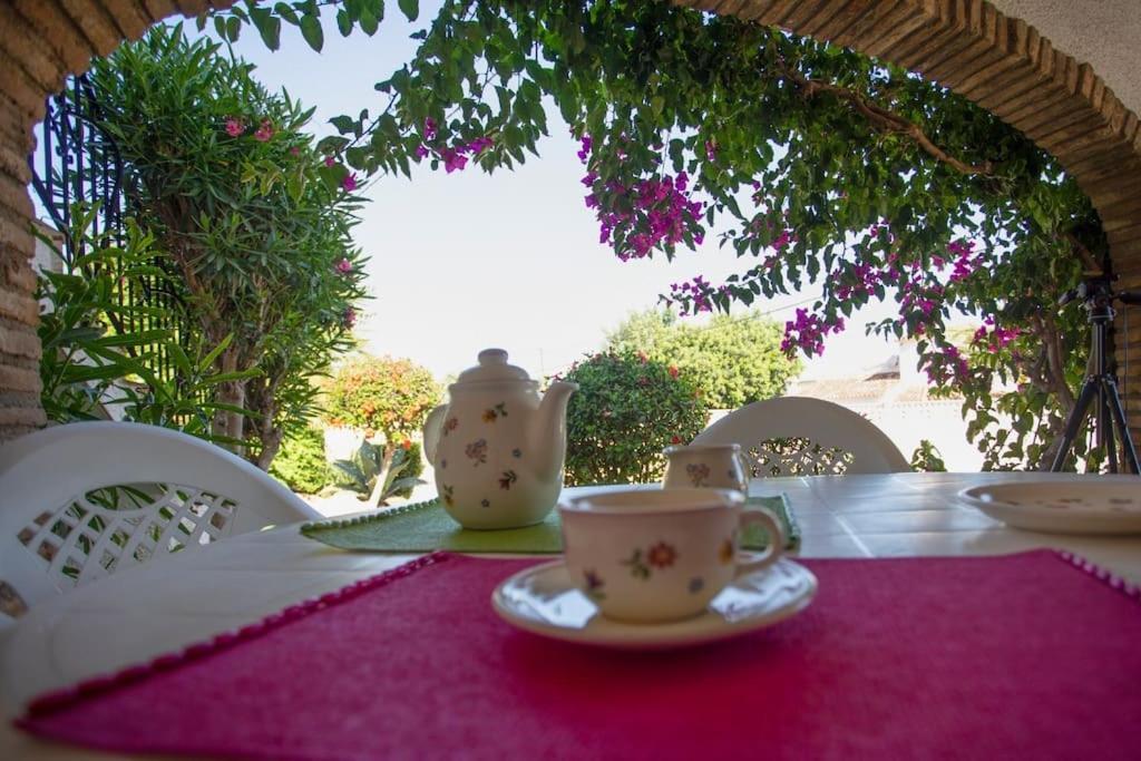 Casa En Denia Con Piscina Y Jardin Daire Dış mekan fotoğraf